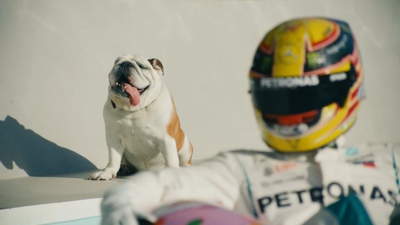 Vorschaubild von Anticipation: Pool