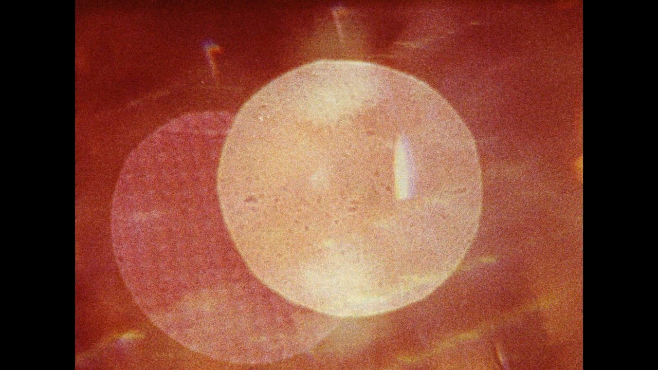 REX ID-Trailer Yannick Mosimann