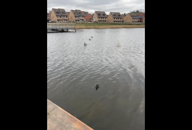 Double Room - £800 per month Main Photo