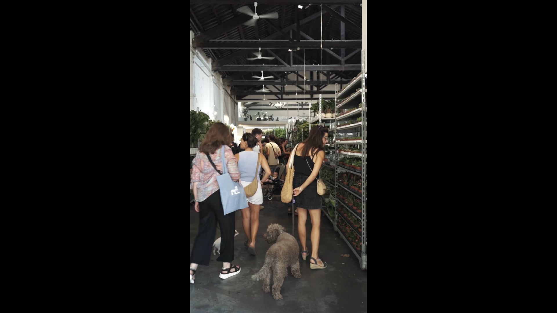 Grand Plant Sale x VIE