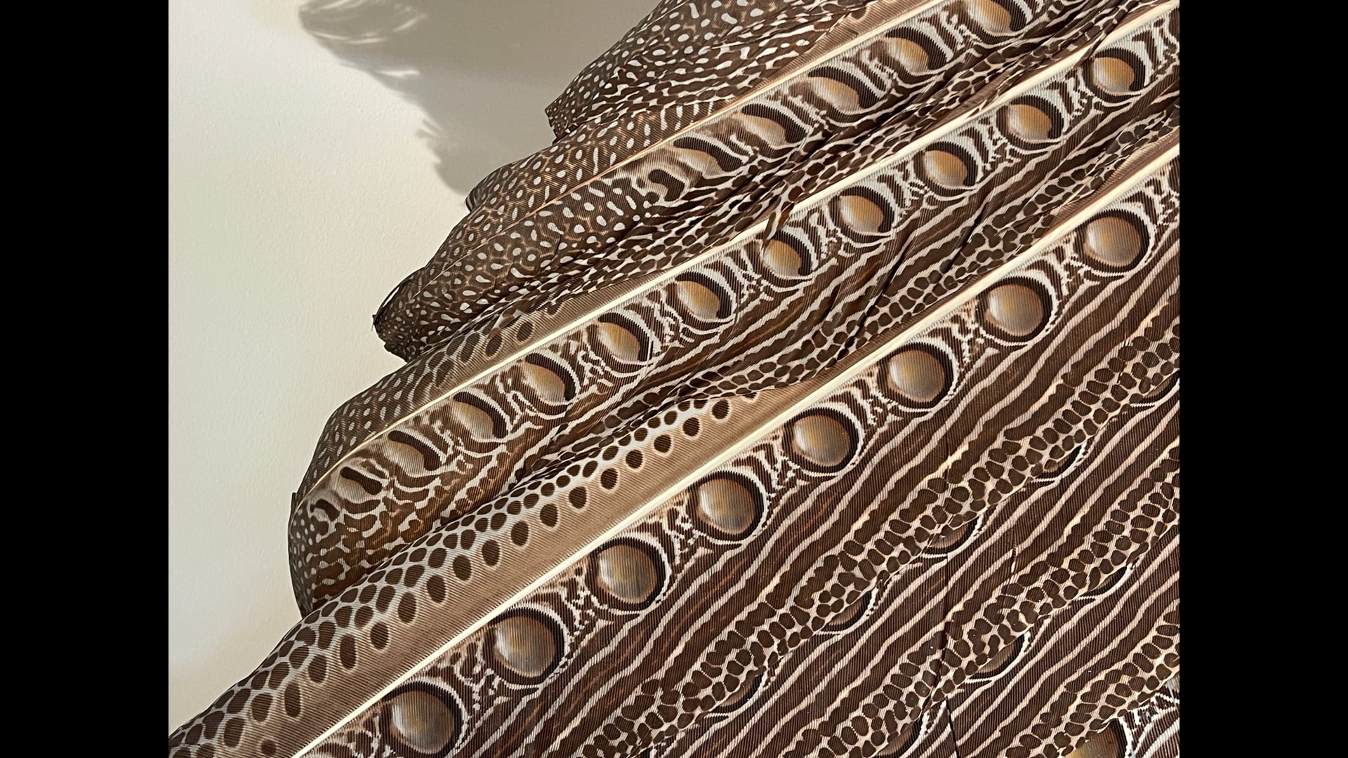 2025 October 06: Equanimity in the Midst of Turbulence