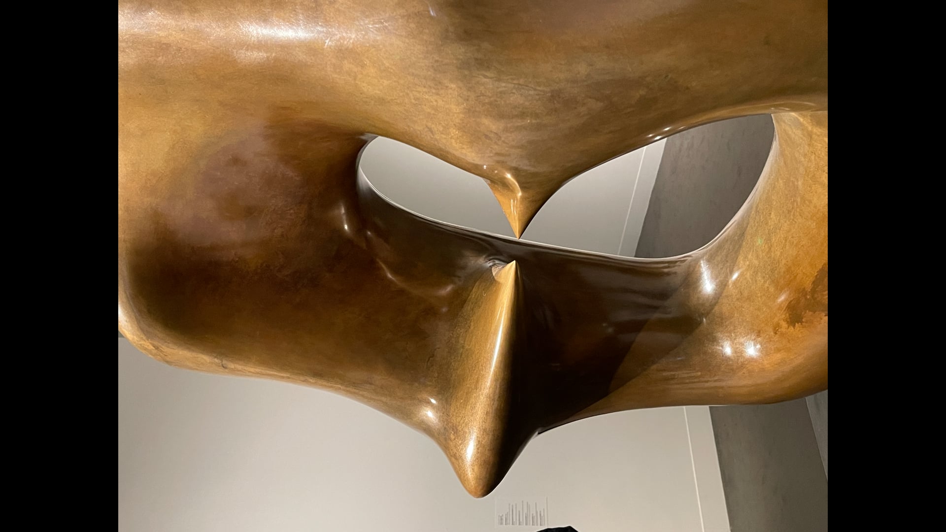 2025 October 08: Equanimity:  Feeling More, Not Less