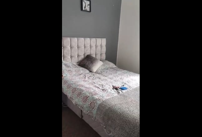 Room for rent Main Photo