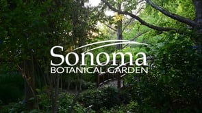 Sonoma Botanical Garden