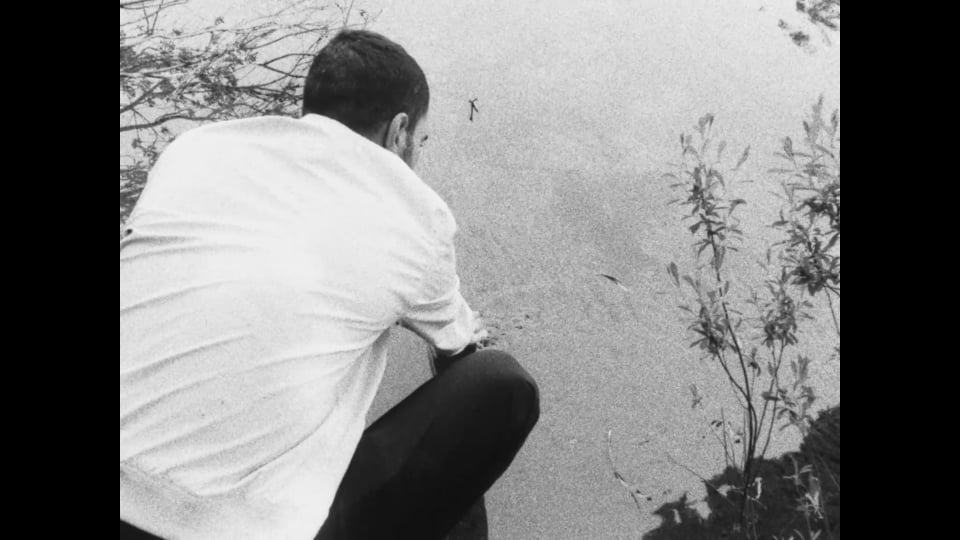 Adieu Ugarit