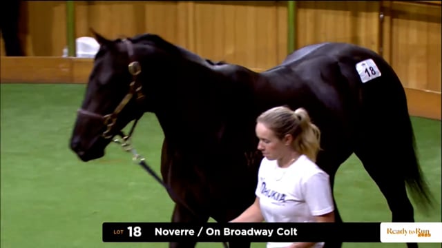 2025 Ready to Run Sale - Day 1 - Lots 18 - 24