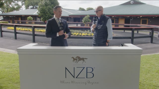 2025 NZB Ready to Run Sale | Andrew Seabrook