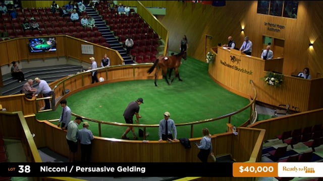 2025 Ready to Run Sale - Day 1 - Lots 38 - 45