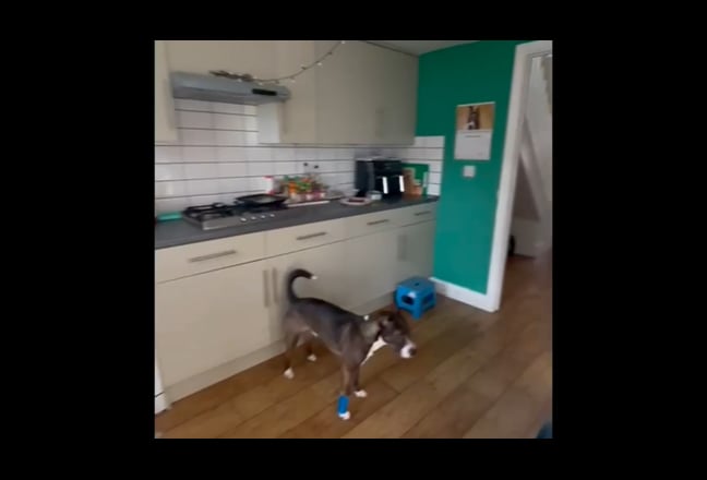 Double Room in 4 bed house Main Photo