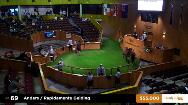 2025 Ready to Run Sale - Day 1 - Lots 69 - 82