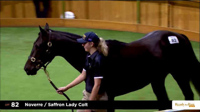 2025 Ready to Run Sale - Day 1 - Lots 82 - 88