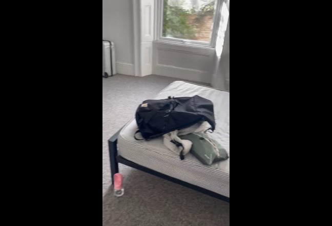 Looking for someone to take over my room BS5 Main Photo