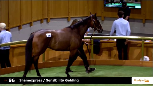 2025 Ready to Run Sale - Day 1 - Lots 96 - 104