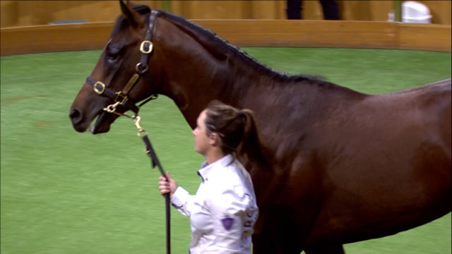 2025 Ready to Run Sale, Lot 9 $500,000