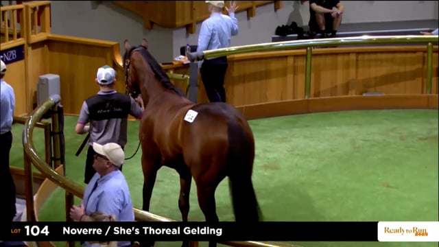 2025 Ready to Run Sale - Day 1 - Lots 104 - 110