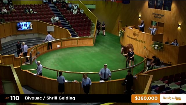 2025 Ready to Run Sale - Day 1 - Lots 110 - 119