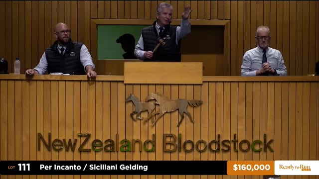 2025 Ready to Run Sale - Day 1 - Lots 111 - 122