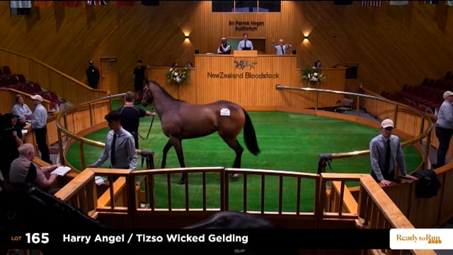 2025 Ready to Run Sale - Day 1 - Lots 165 - 171