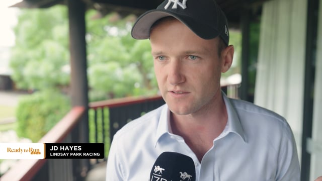 NZB Ready to Run Sale | JD Hayes - Lindsay Park Racing