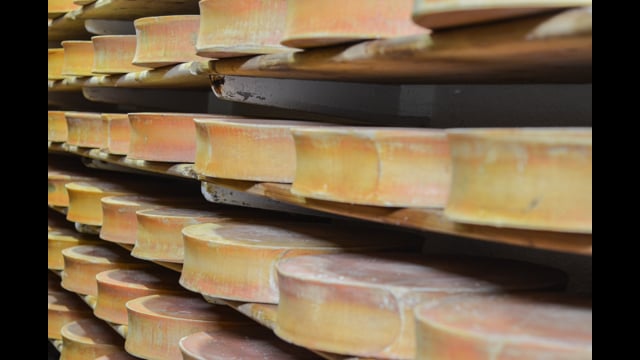 COOP laitière d'Aime : la fabrication du beaufort