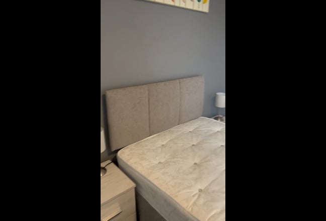 Amazing first floor  ensuite rm  - avail. December Main Photo