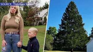 Widow Donates This Years Rockefeller Tree