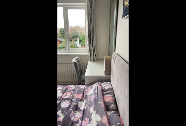 Double Room in Old Town in all female household Main Photo