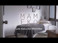 Résumé Elfie Tips FR LIMITER OK