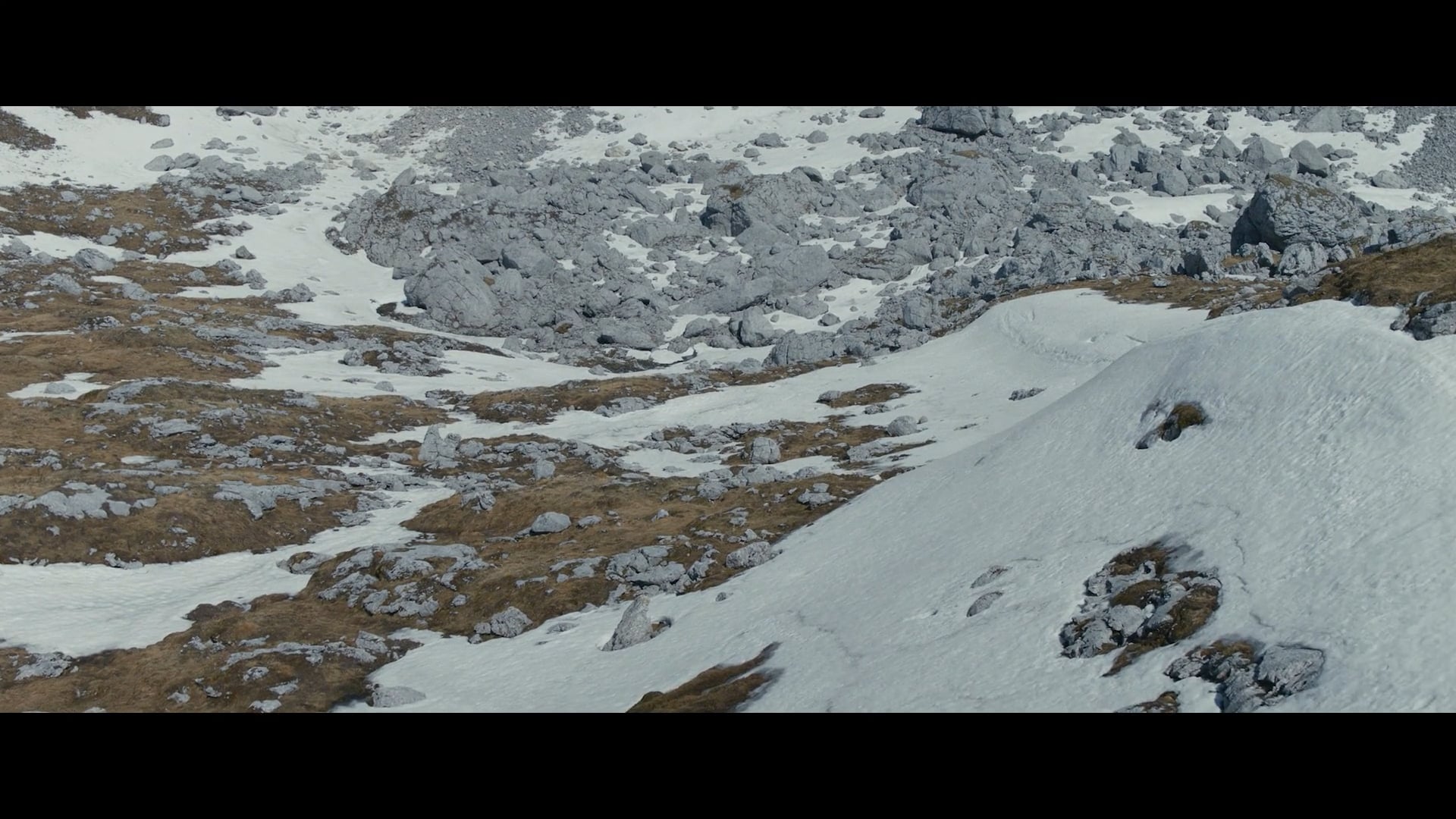 50 Years Mercedes AMG Melissa Arnot