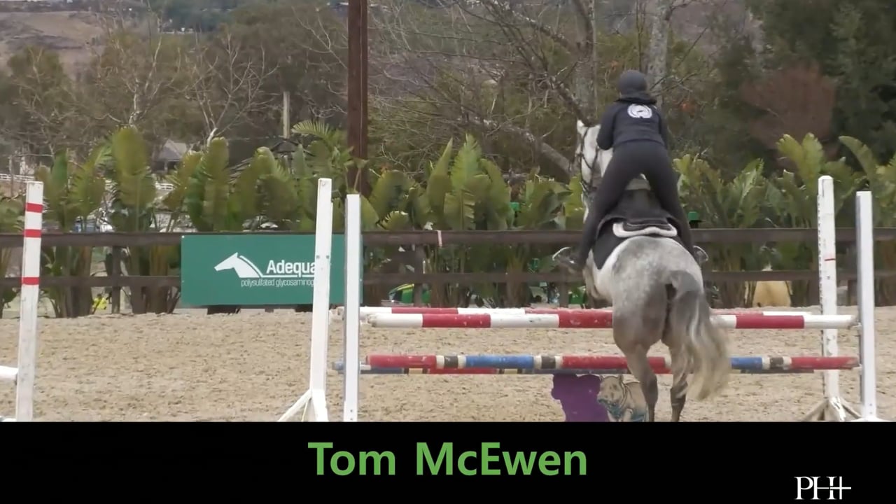 Straightness Over Simulated Cross-Country Jumps | Training | Tom McEwen