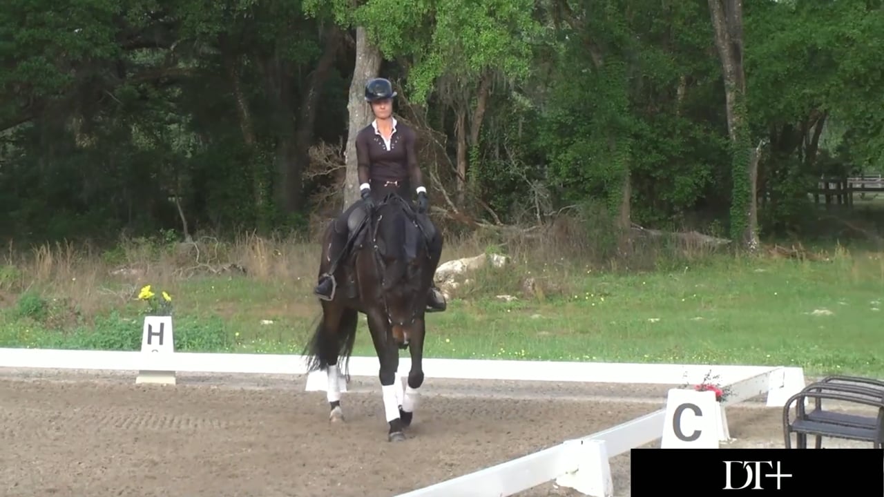 Free Walk | Peter Gray | TRAILER