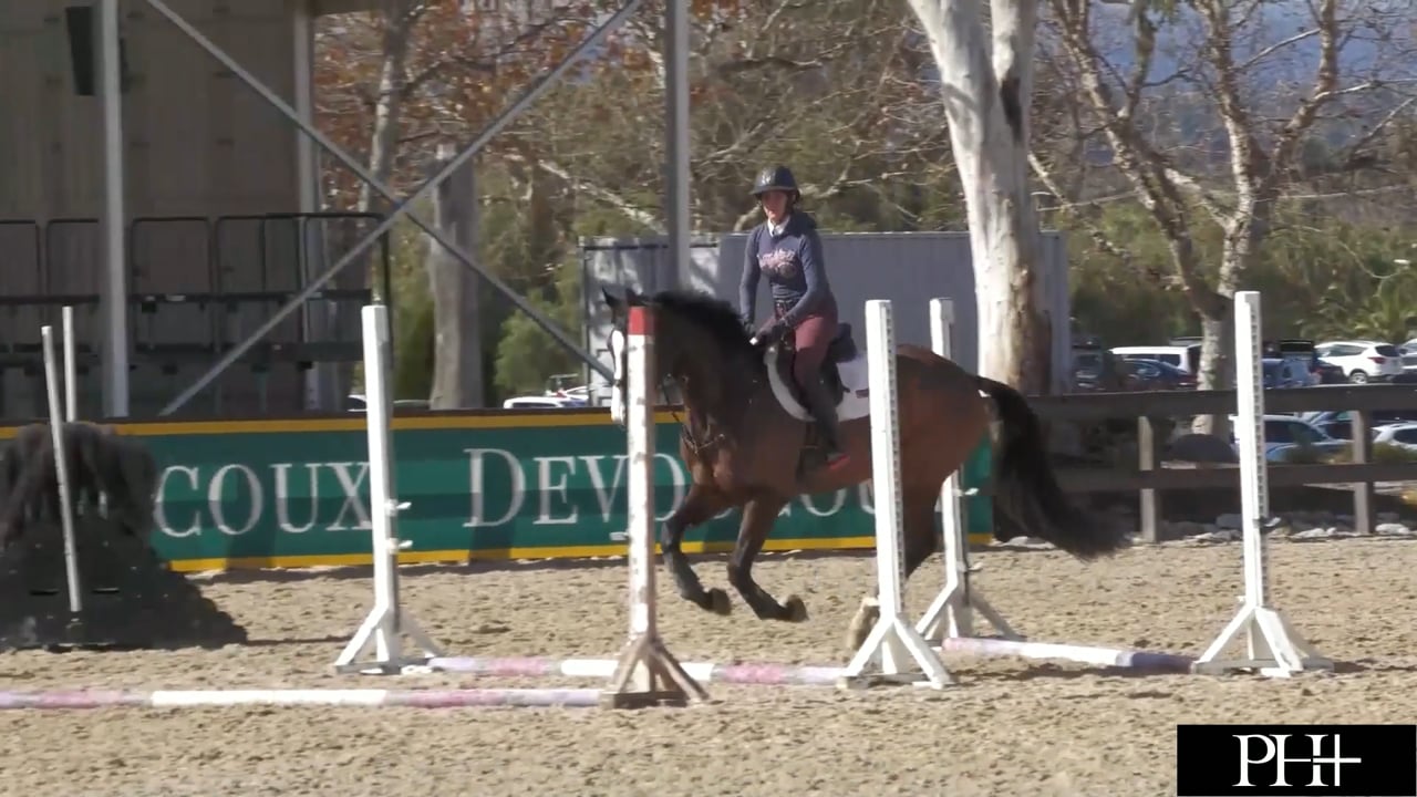Straightness Over Simulated Cross-Country Jumps | Novice/Training | Tom McEwen