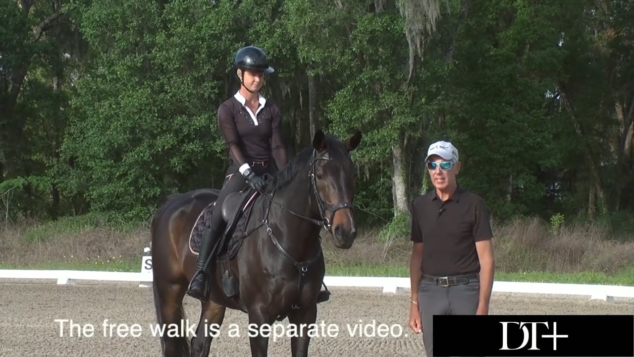 Stretchy Trot | Peter Gray