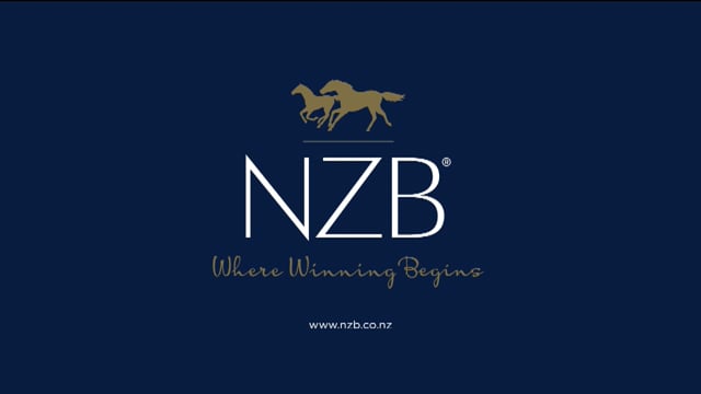 2025 Ready to Run Sale - Day 2 - Start of Day - Preview Show Part 1