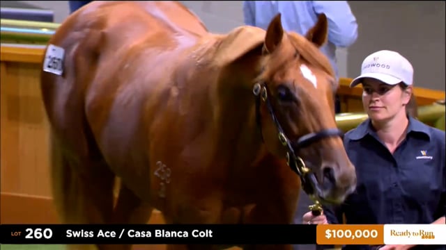 2025 Ready to Run Sale - Day 2 - Lots 260 - 274