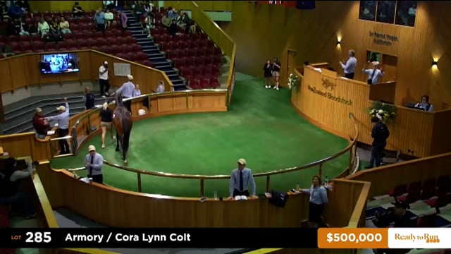 2025 Ready to Run Sale - Day 2 - Lots 285 - 294