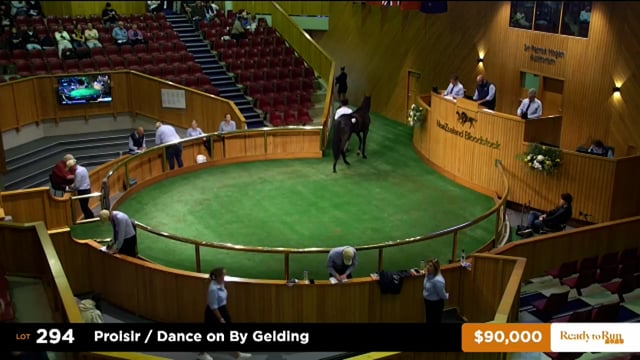 2025 Ready to Run Sale - Day 2 - Lots 295 - 306