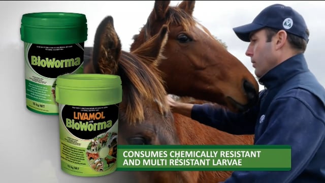 2025 Ready to Run Sale - Day 2 - Lots 316 - 323