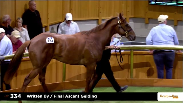 2025 Ready to Run Sale - Day 2 - Lots 334 - 345