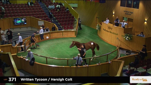 2025 Ready to Run Sale, Lot 371 $775,000