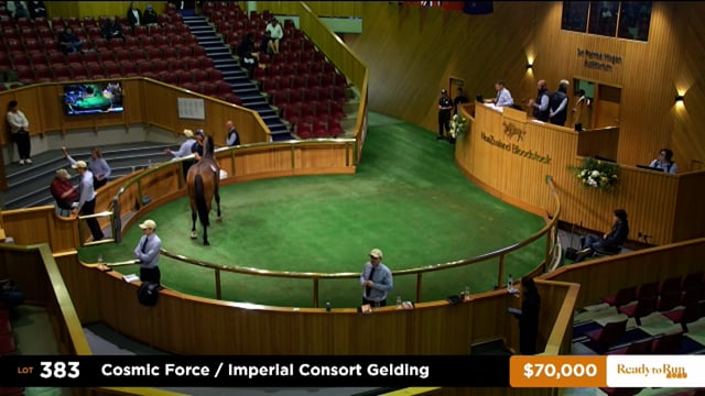 2025 Ready to Run Sale - Day 2 - Lots 383 - 390