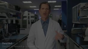 Kimberley Clark Sizzle