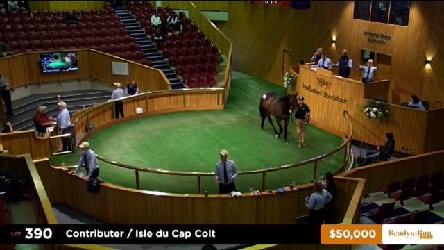 2025 Ready to Run Sale - Day 2 - Lots 390 - 401