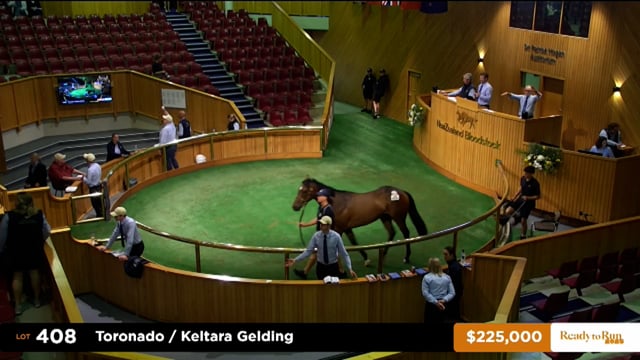 2025 Ready to Run Sale - Day 2 - Lots 408 - 419