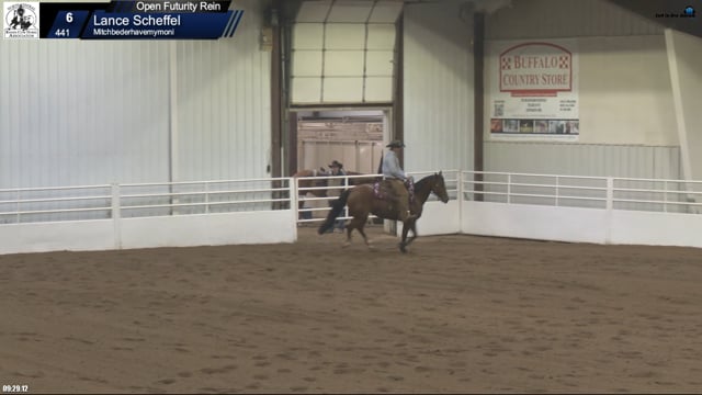 #441 Lance Scheffel