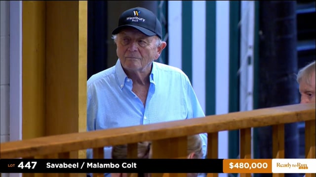 2025 Ready to Run Sale - Day 2 - Lots 447 - 456