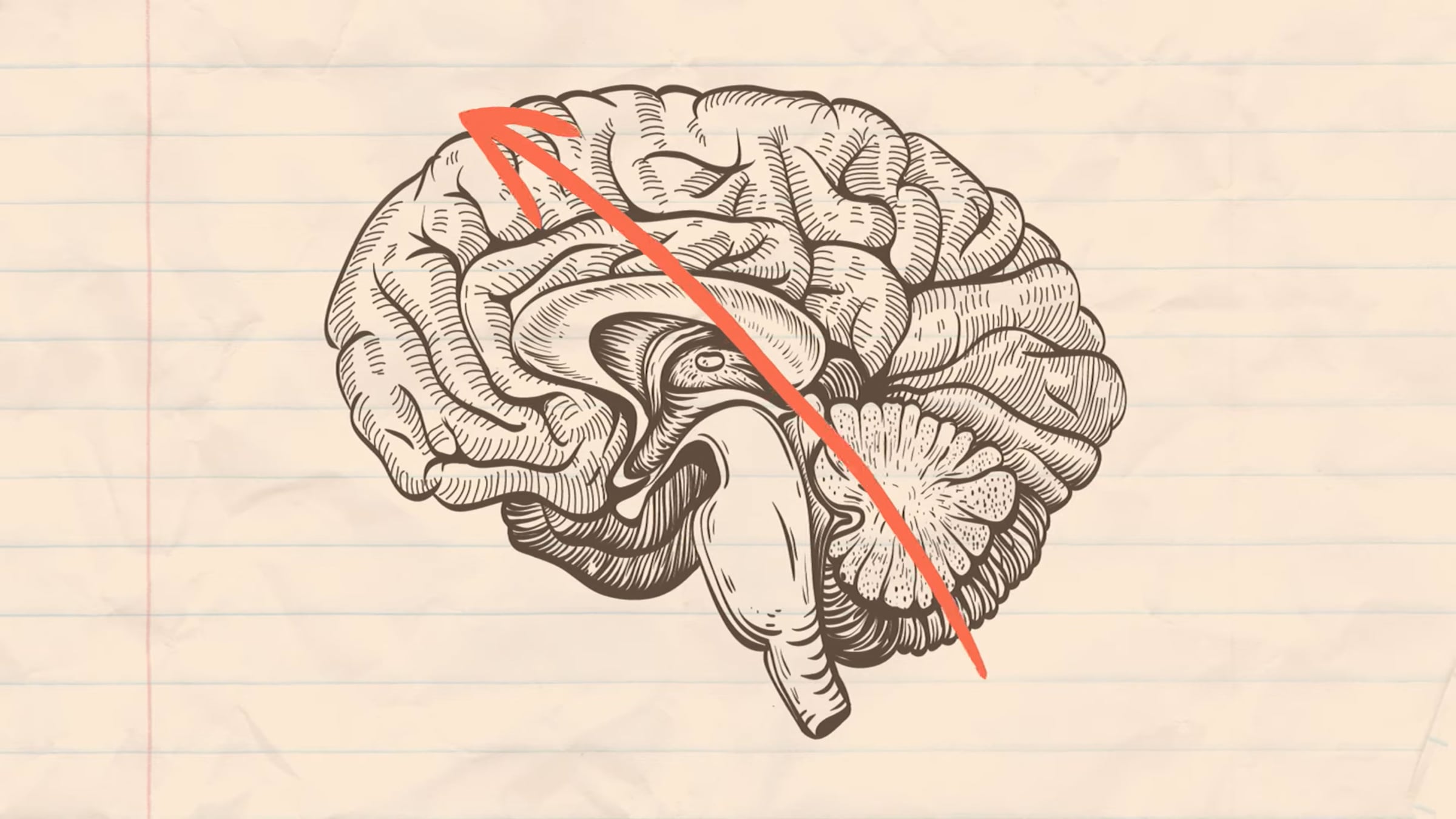 Decision making and the adolescent brain | Videos & Movies on Vimeo