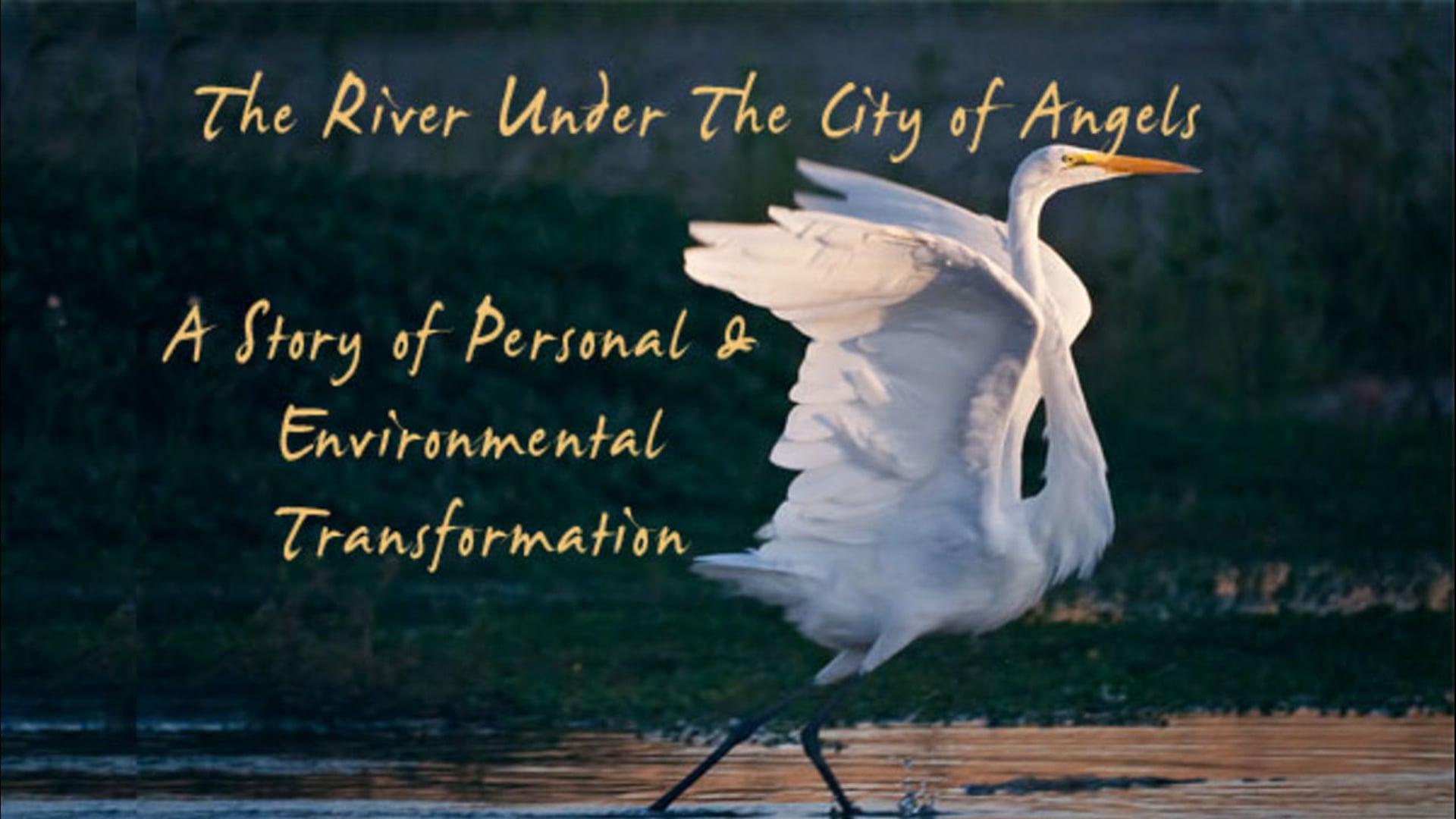 The River Under The City of Angels