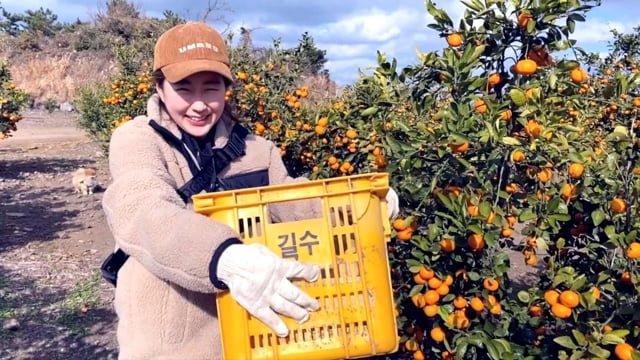 Related Embedded Video Item Thumbnail