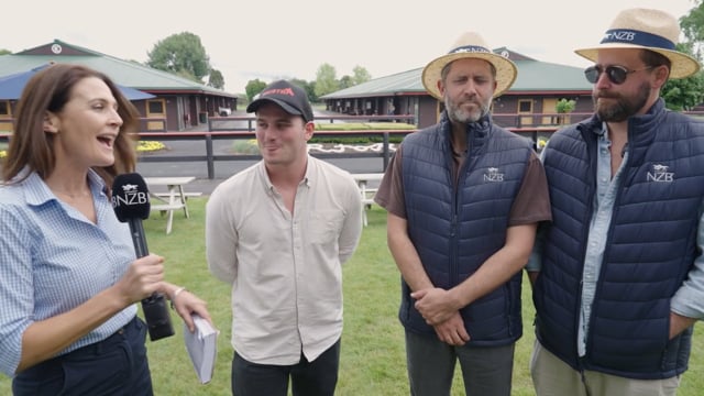 2025 NZB Ready to Run Sale | Hello Sport